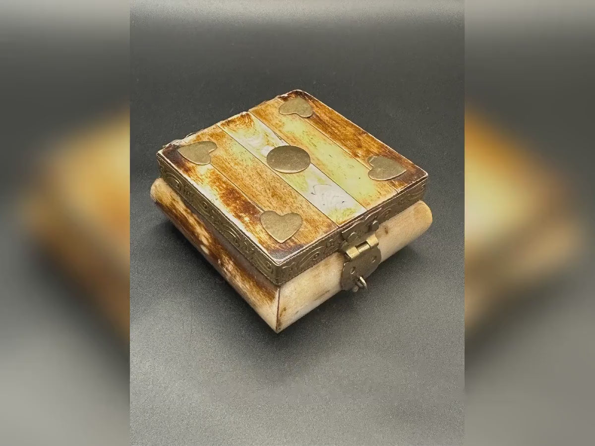 Camel Bone Trinket Box: Brass Inlay, Velvet Lining, Ethically Sourced